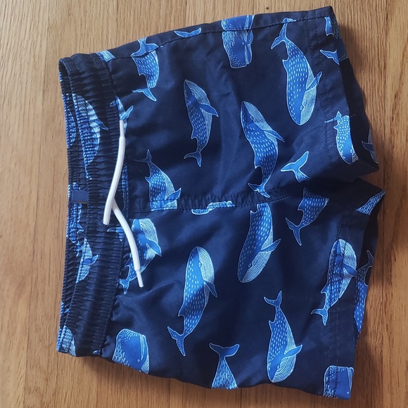 Janie & Jack Rashguard Swin Set - Picture 2 of 3